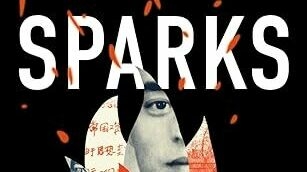 'Sparks' author Ian Johnson on Chinese 'challenging the party's monopoly on history'